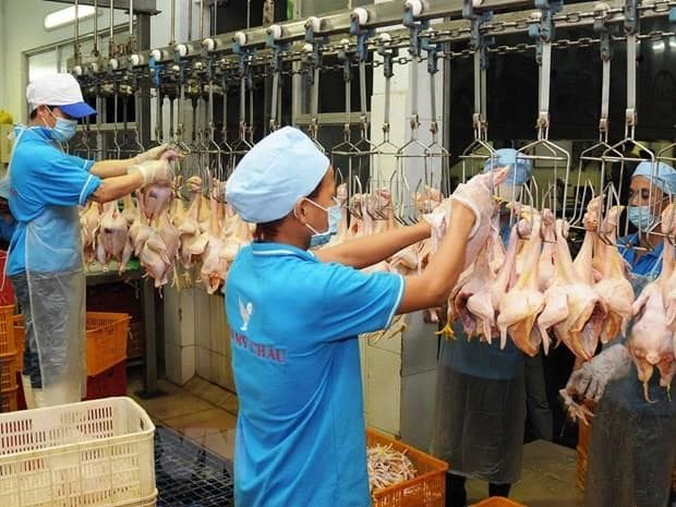 Livestock industry needs solutions to turn tide on losses