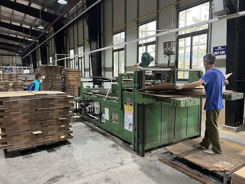 Paper industry enterprises promote exports