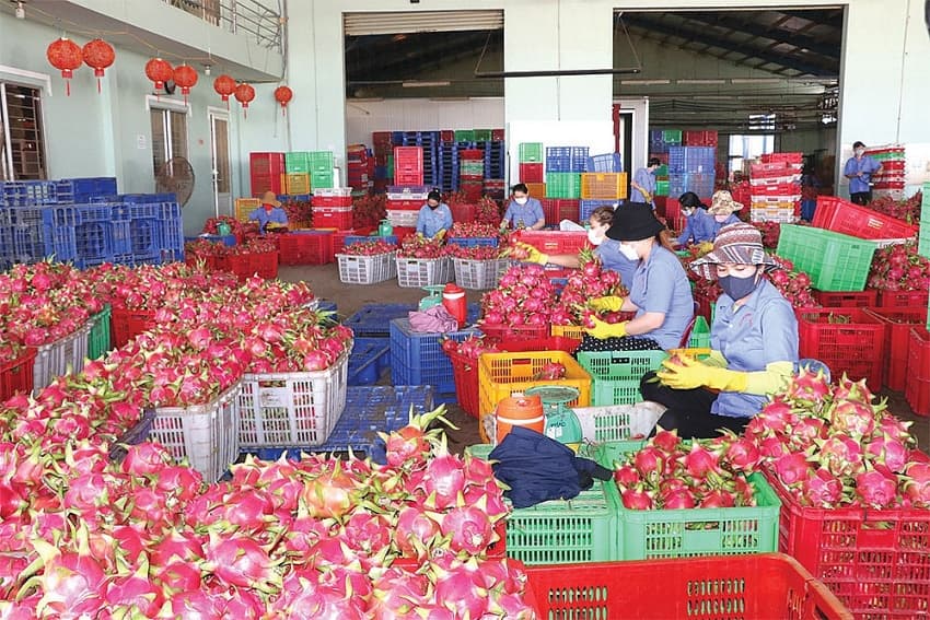 China-ASEAN trade to get fresh booster