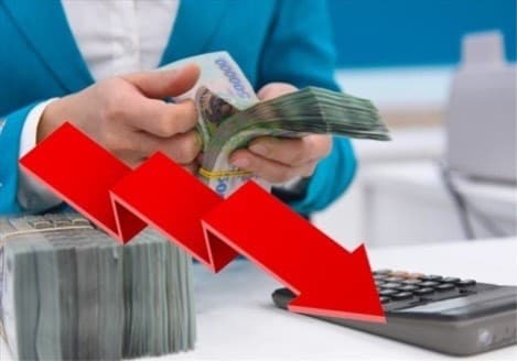 Reducing loan interest rates an important policy to support businesses: central bank deputy governor