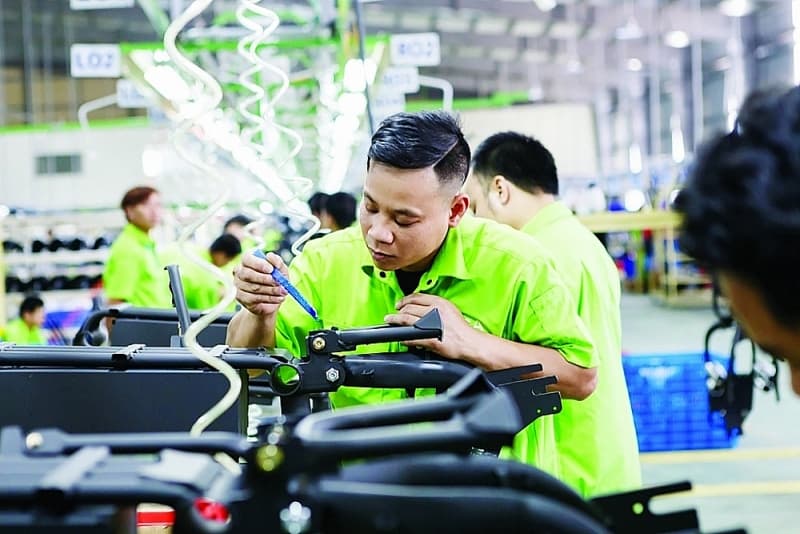 Fiscal policy helps economic recovery and development