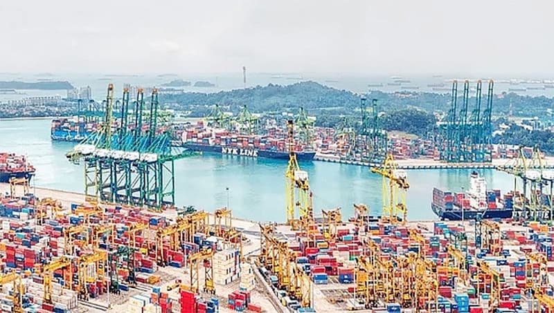 The special preferential import tariff for the implementation of the RCEP Agreement includes 11,414 tariff lines