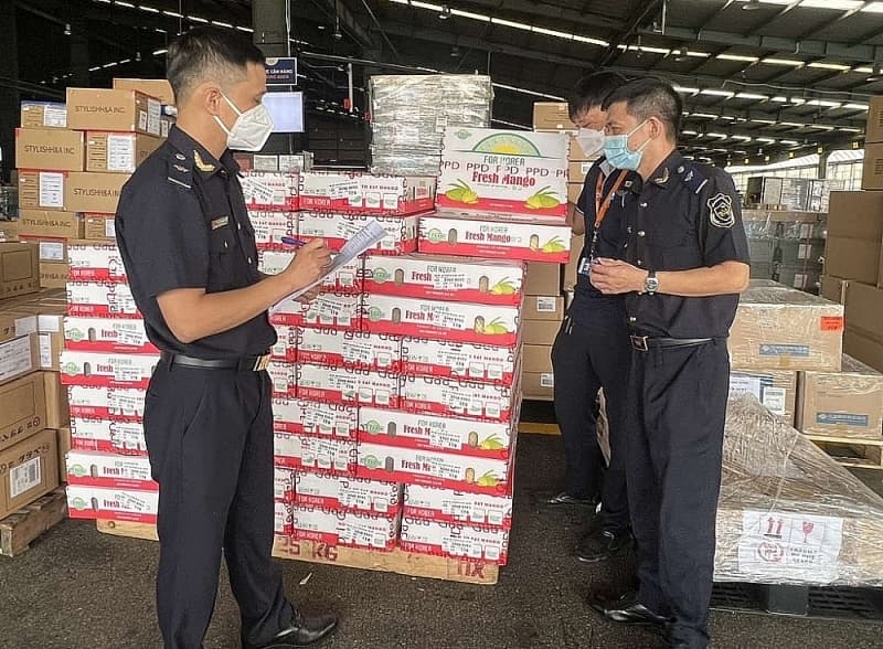 Enterprises face difficulties, exports plummet