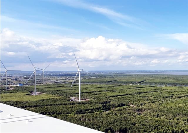 Green funds expose the need for fund-managed institution
