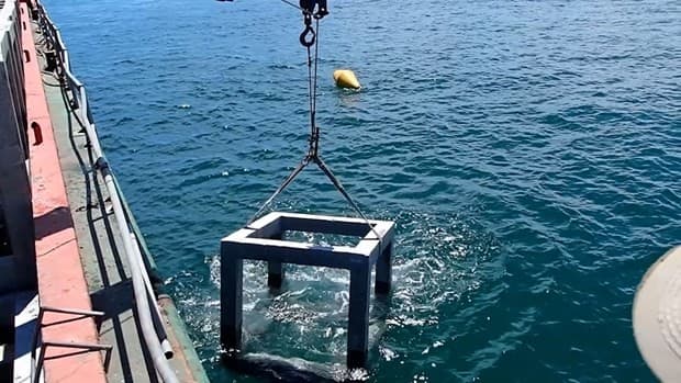 Artificial reef placement proves useful in Ca Mau province