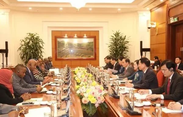 Vietnamese, Tanzanian party officials hold talks in Hanoi