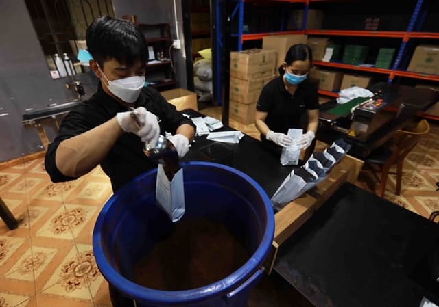 Plenty of room for Vietnamese exports to Africa