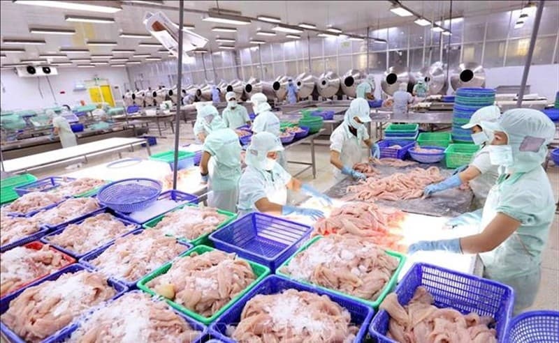 Removing obstacles to boost tra fish exports to key markets