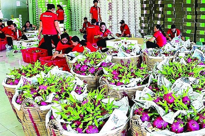 "Rescuing" agricultural products by changing mindsets