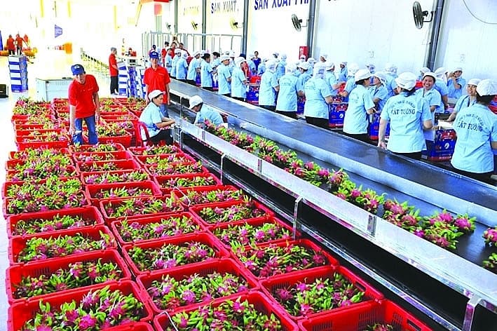 Breaking the disadvantage, increasing exports to the Japanese market