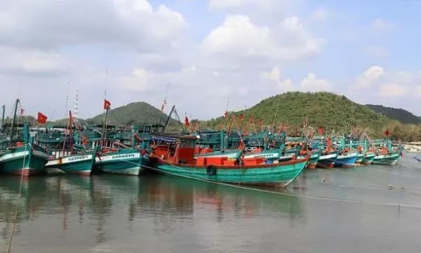 EC to send IUU inspection team to Vietnam in October: MARD official
