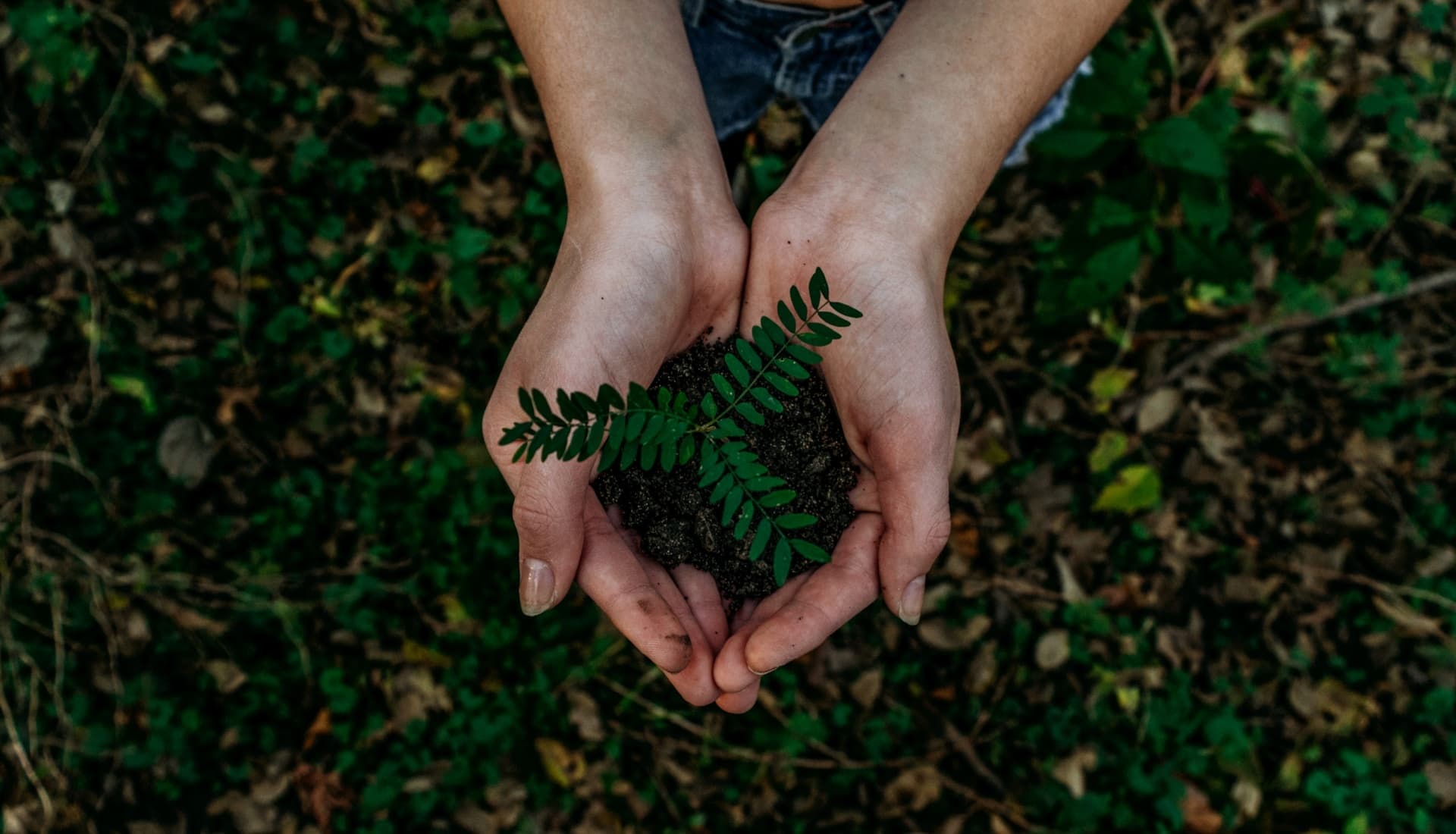 Stride secures $2 Million in seed funding