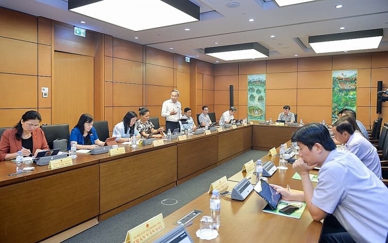 Minister of Finance: Untie "knot" of public investment requires a law to amend many laws