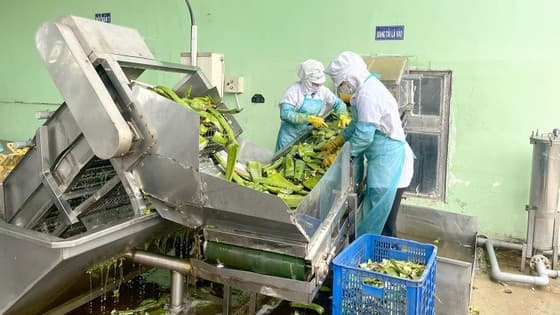Government should reduce corporate income tax: Businesses