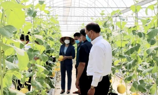 Hanoi Deploying Many Effective Agri-models