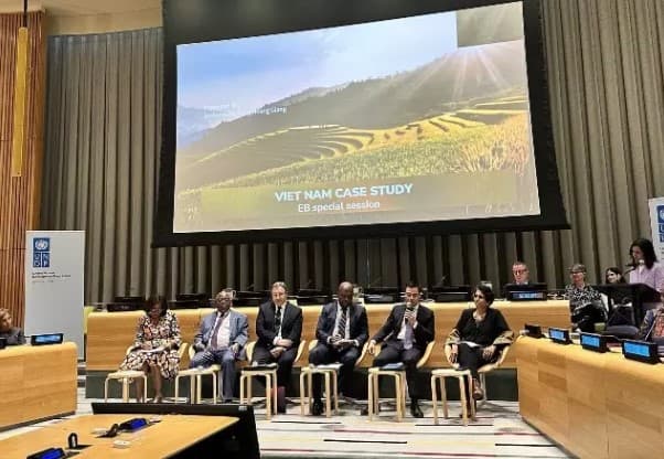 UNDP one of Vietnam's most important partners on development path: Ambassador to UN
