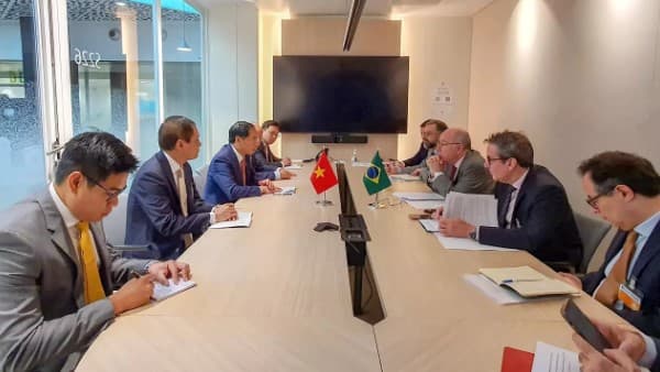 Foreign Minister Bui Thanh Son meets officials of Brazil, France, EC, Canada in Paris