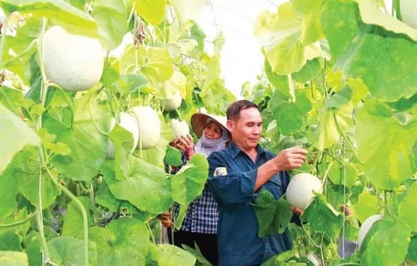 Bilateral FTA to strenghen trade flows between Vietnam and Israel