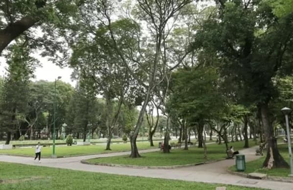 To strengthen green growth strategy of Vietnamese firms