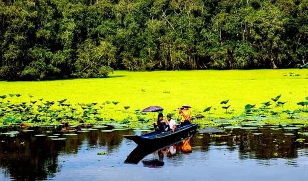 Over 8,800 OCOP products drive the formation of many tourism and service offerings that are unique and distinctive