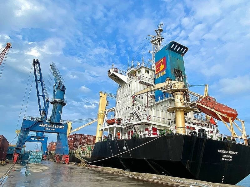When will the international container shipping route through Cua Lo port be reopened?