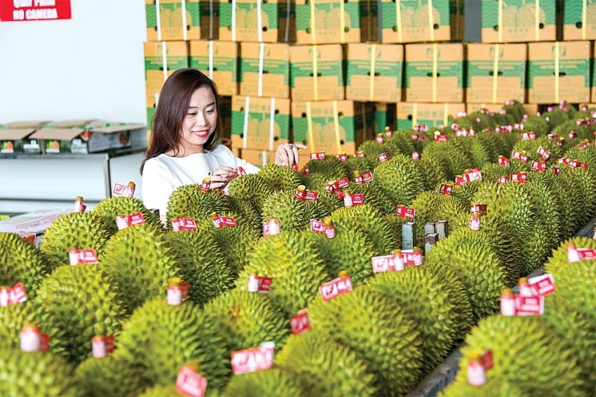 Financial institutions ready to provide greener agro-loans
