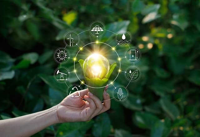 Viet Nam should prioritize investments in digital, green technologies: WB