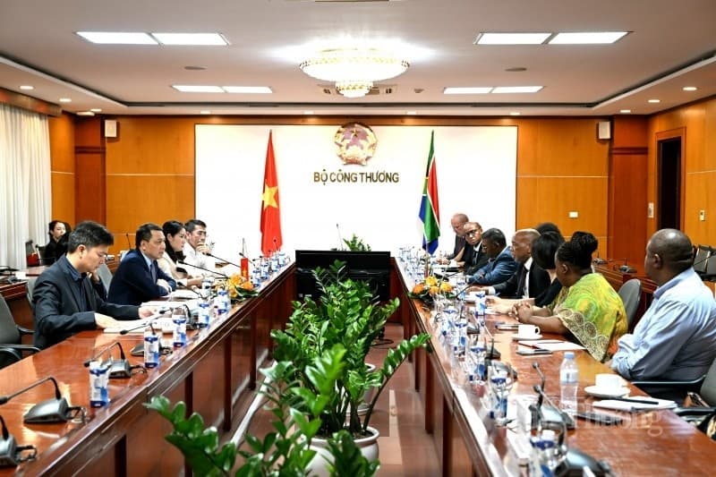 South African government seeks a Vietnamese remedy to its electricity shortage