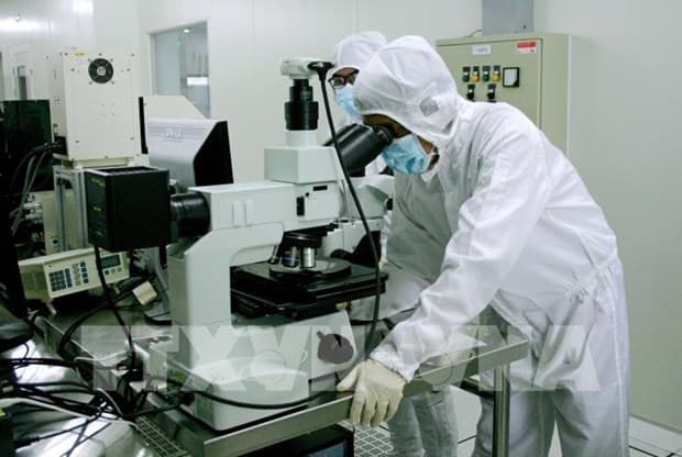 Vietnam considered rising star to become emerging market