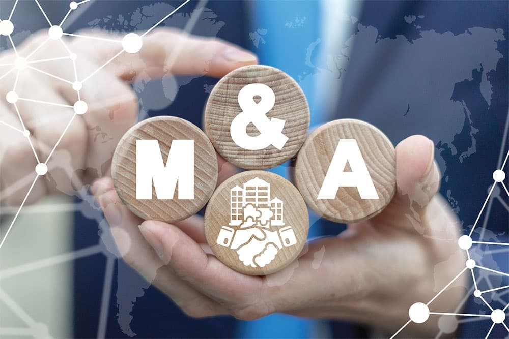 Strong recovery projected in Vietnam’s M&A arena in 2024