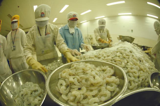 Trade Cooperation: Driving Force for Vietnam-U.S. Relations