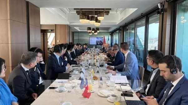 HCM City Party Secretary calls for development support from French businesses