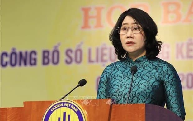 GSO head points to factors affecting Vietnam’s efforts to curb inflation