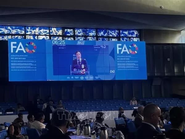 Vietnam presents proposals at 43rd FAO conference’s plenary meeting: Ambassador