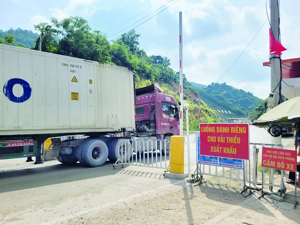 Flexible measures to facilitate fresh fruit exports