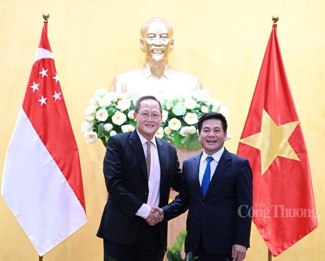 Minister of Industry and Trade Holds Talks with Singaporean Counterpart