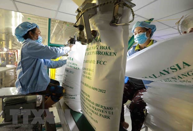 Việt Nam sees prospects to increase rice exports in H2