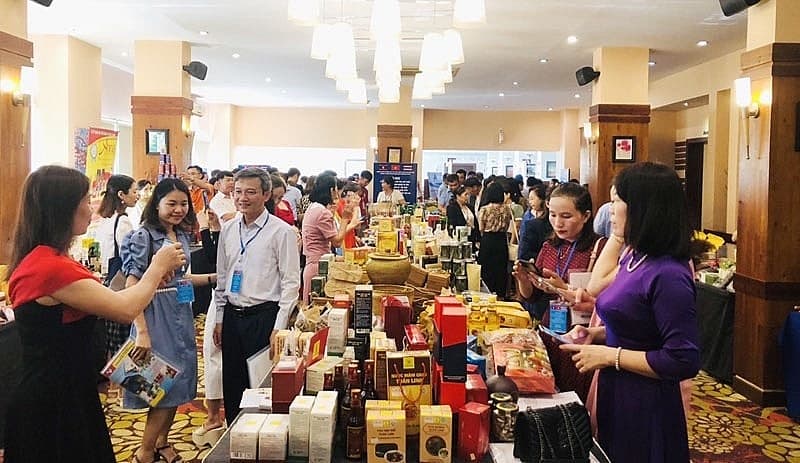 Hanoi promotes trade, investment, tourism cooperation with central provinces
