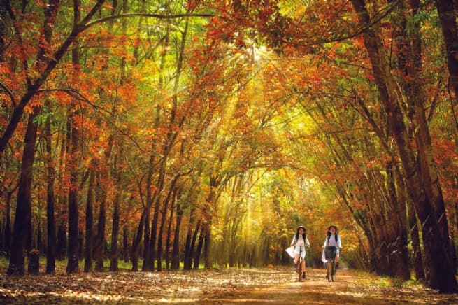Tapping Potential Advantages for Sustainable Tourism
