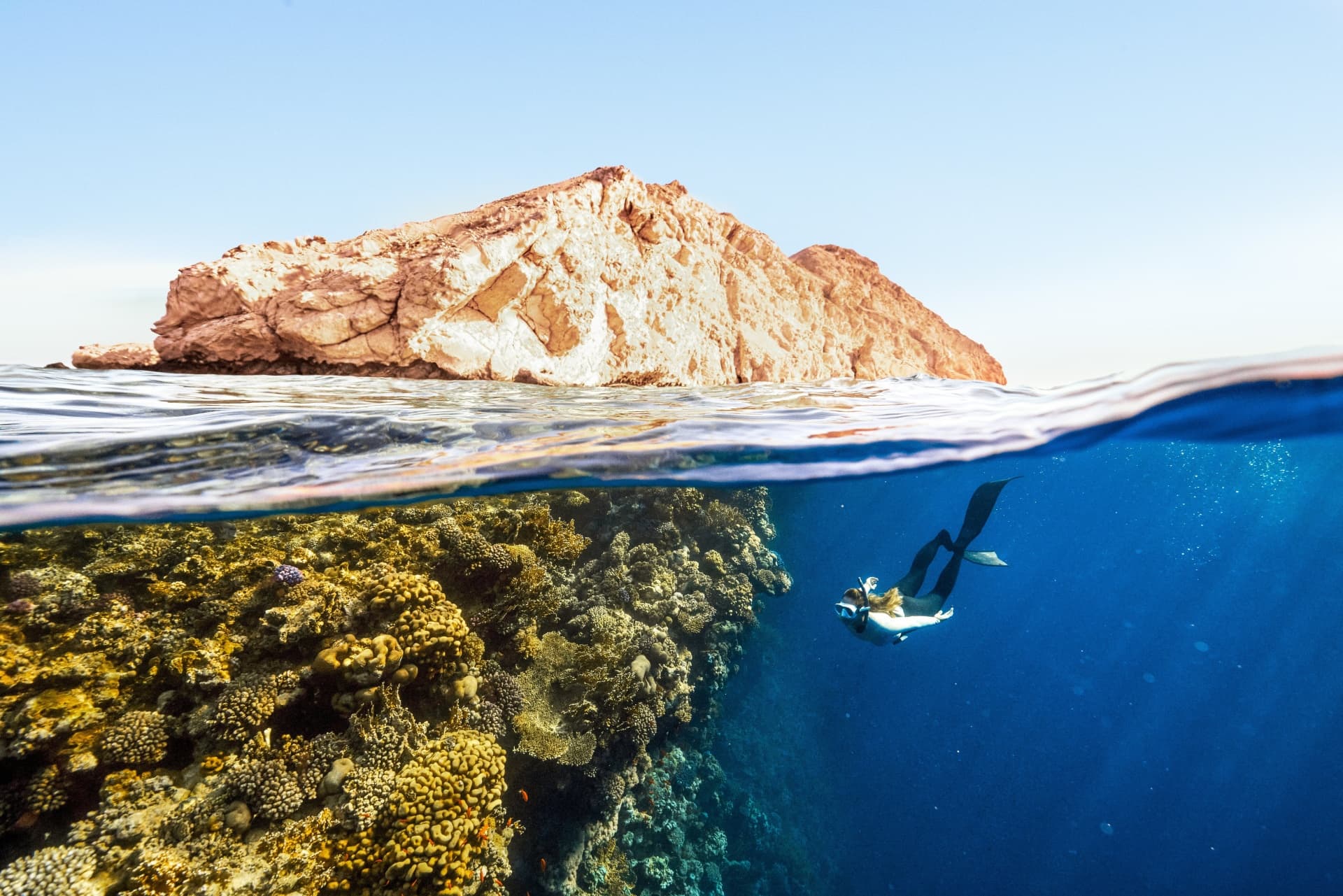 Citi report explores significance of sustainable ocean economy