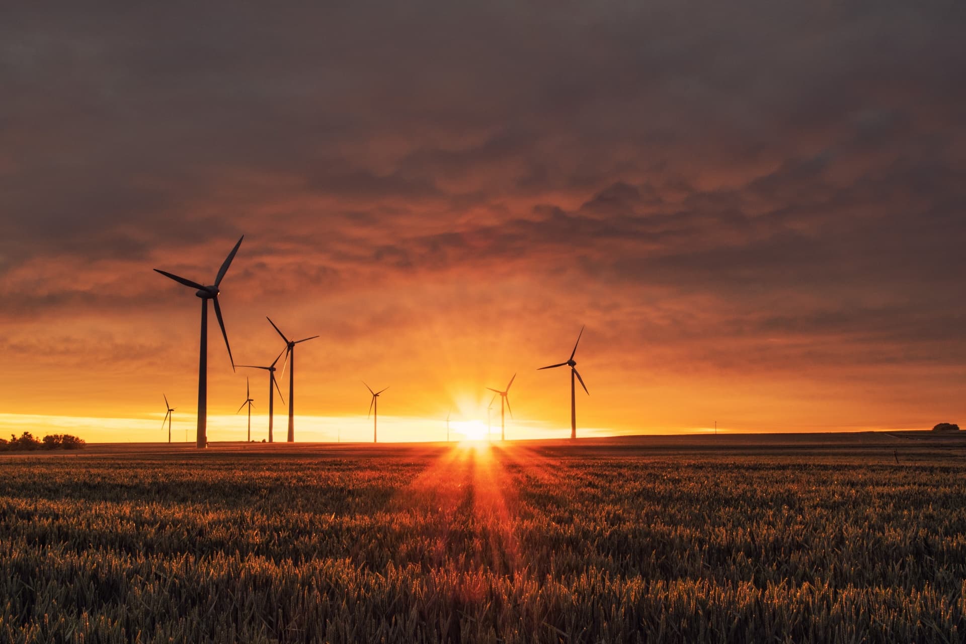 EuroCham advocates for strategic focus on long-term power stability in Vietnam