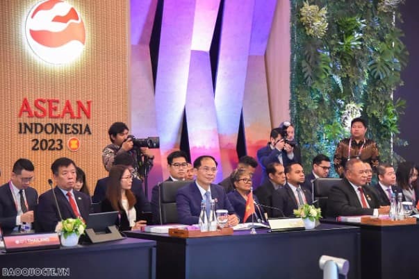 AMM-56: FM Bui Thanh Son attends meetings of SEANWFZ Treaty Commission, AICHR