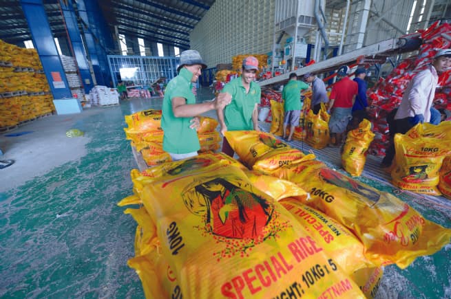 Agricultural Sector Set to Export US$55 Bln