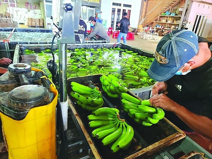 Let logistics become a lever for agricultural exports