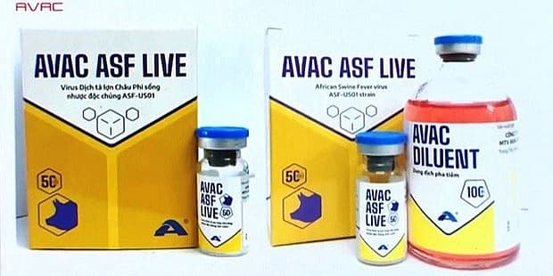 Swine fever vaccines approved for nationwide use