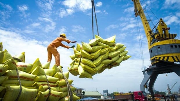 Measures needed to regain export momentum in second half of this year