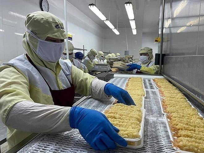 Shrimp exports to various markets have recorded positive growth