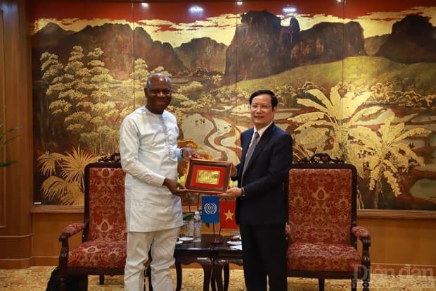 Expectations for cooperation between VCCI and ILO in the new phase