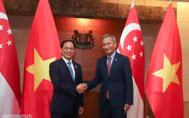 Vietnam – Singapore relations have grown strongly: Ambassador