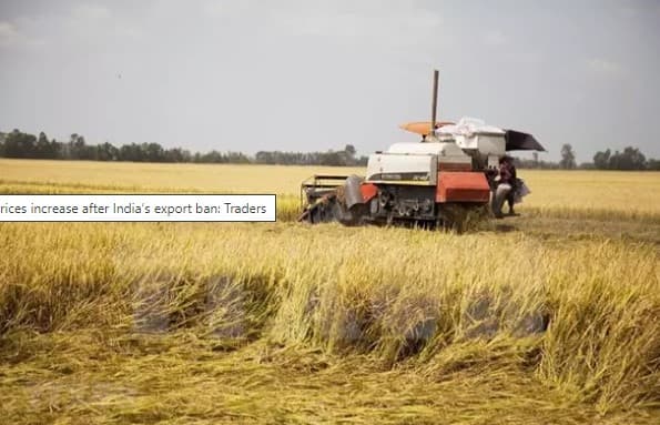 Vietnamese rice prices increase after India’s export ban: Traders